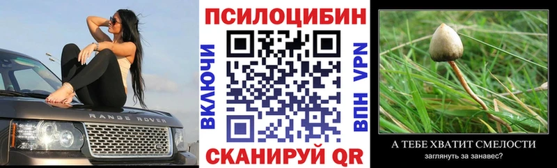 купить наркотик  kraken tor  Галлюциногенные грибы MAGIC MUSHROOMS  Советская Гавань 